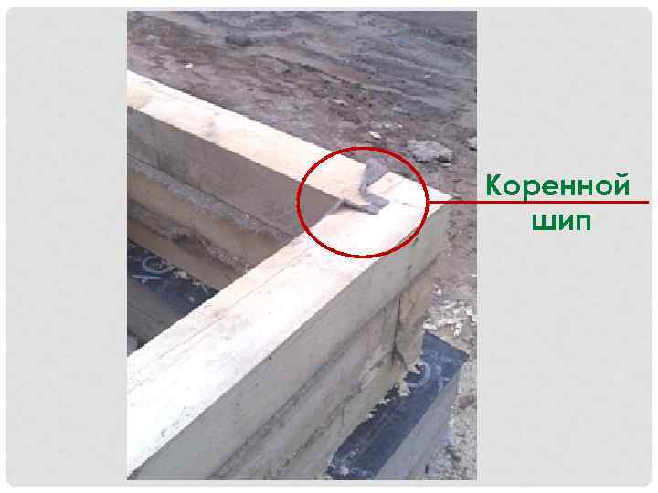 Коренной шип 