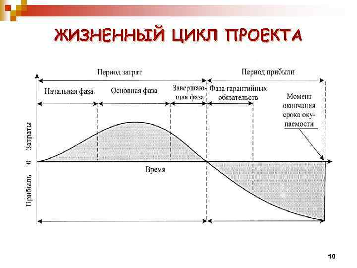 ЖИЗНЕННЫЙ ЦИКЛ ПРОЕКТА 10 