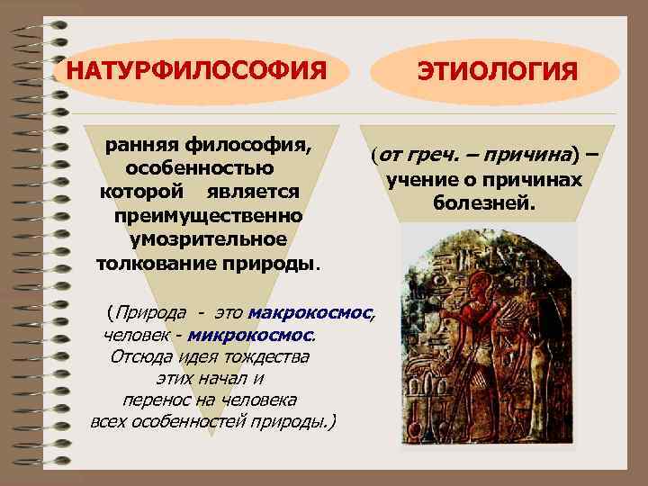 НАТУРФИЛОСОФИЯ ранняя философия, особенностью которой является преимущественно умозрительное толкование природы. ЭТИОЛОГИЯ (от греч. –