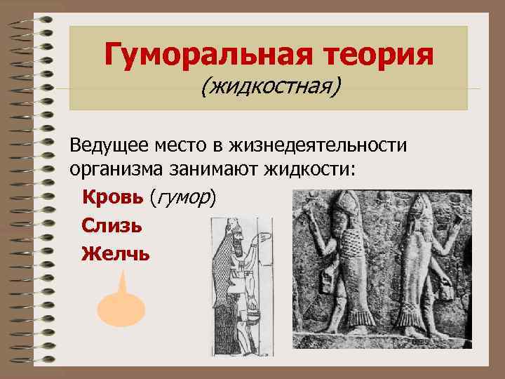 Гуморальная теория (жидкостная) Ведущее место в жизнедеятельности организма занимают жидкости: Кровь (гумор) Слизь Желчь