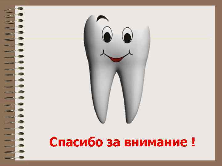 Спасибо за внимание ! 