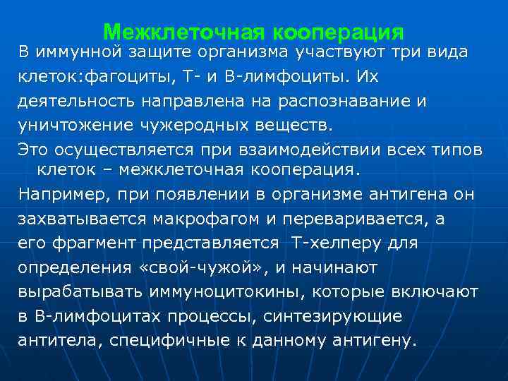 Межклеточная кооперация В иммунной защите организма участвуют три вида клеток: фагоциты, Т- и В-лимфоциты.