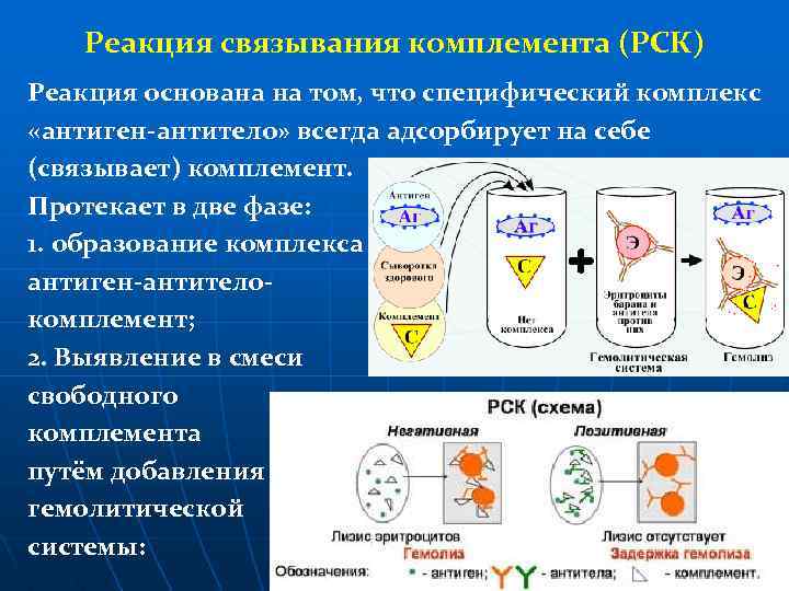 Реакция связывания комплемента (РСК) Реакция основана на том, что специфический комплекс «антиген-антитело» всегда адсорбирует