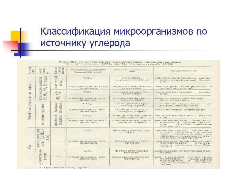 Классификация микроорганизмов по источнику углерода 