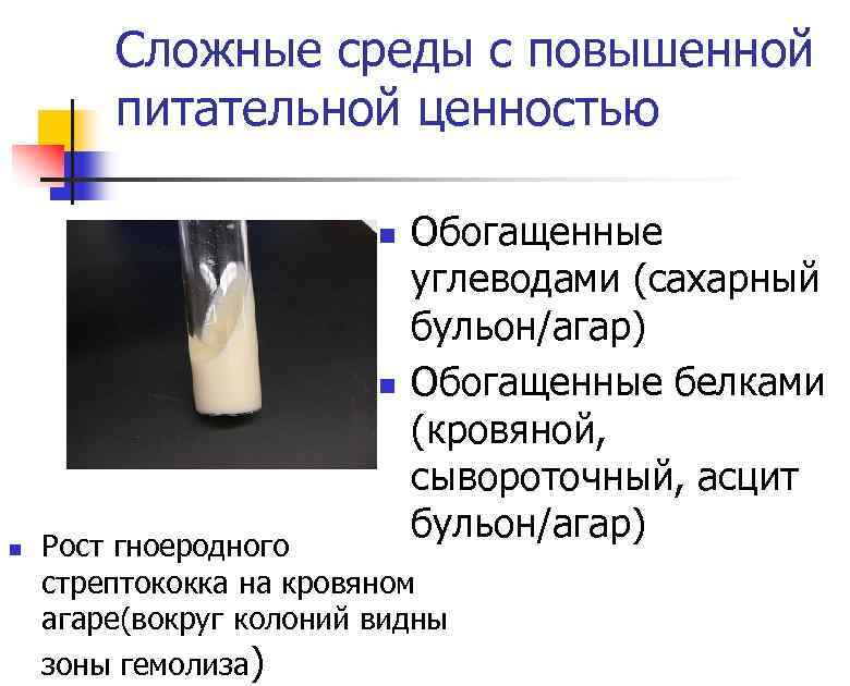 Сложные среды с повышенной питательной ценностью n n n Обогащенные углеводами (сахарный бульон/агар) Обогащенные