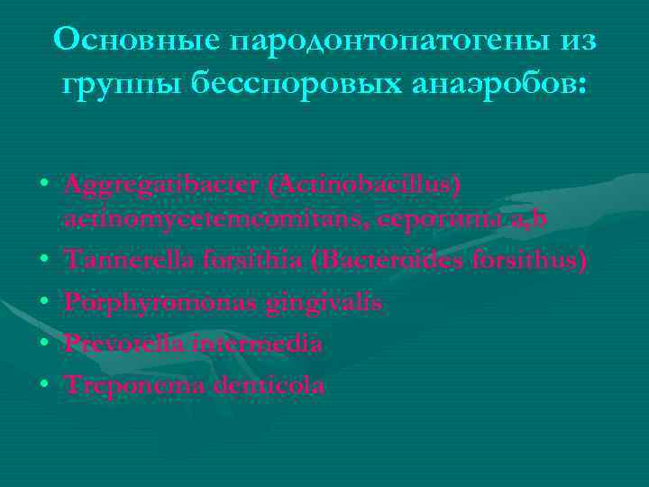 Основные пародонтопатогены из группы бесспоровых анаэробов: • Aggregatibacter (Actinobacillus) actinomycetemcomitans, серотипы а, b •