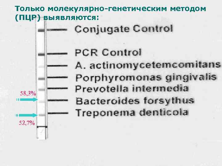 Только молекулярно-генетическим методом (ПЦР) выявляются: 58, 3% 52, 7% 