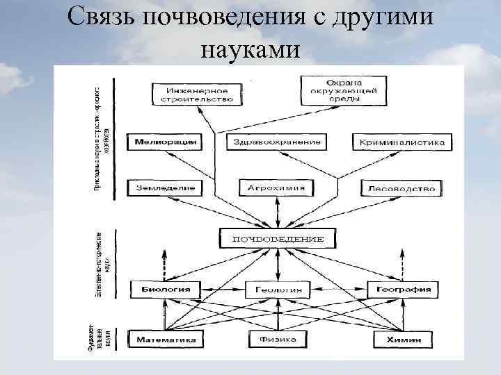 Связь ммр с другими науками схема