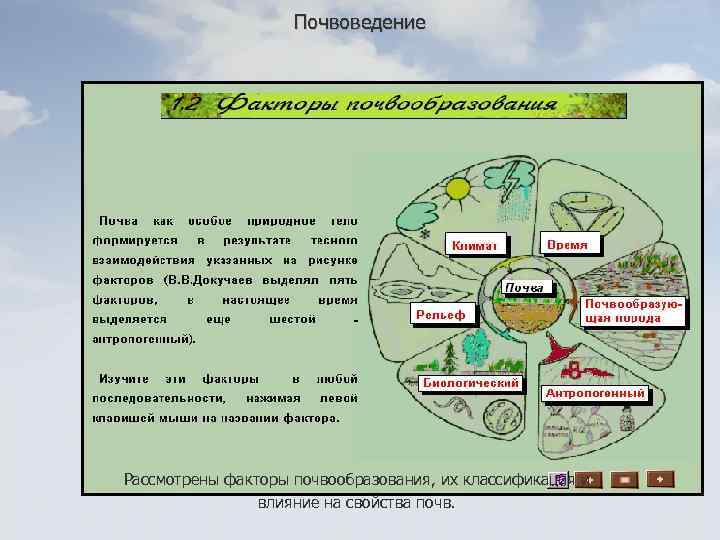 Почвоведение Рассмотрены факторы почвообразования, их классификация и влияние на свойства почв. 