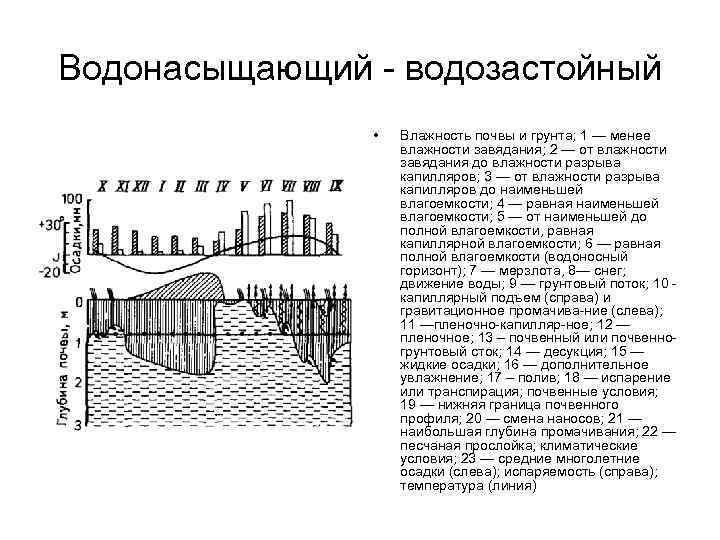 Водонасыщающий - водозастойный • Влажность почвы и грунта; 1 — менее влажности завядания; 2