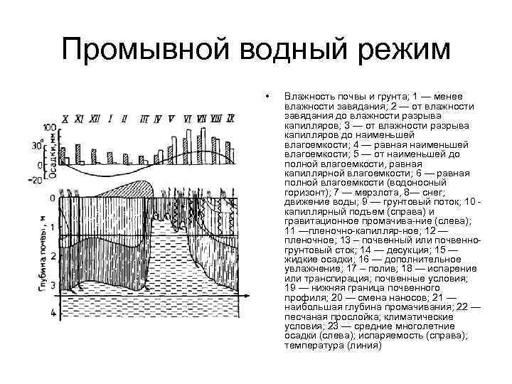 Водный режим почв. Промывной Тип водного режима почв. Периодически промывной режим почвы. Промывной Тип водного режима формируется. Непромывной Тип водного режима почв.