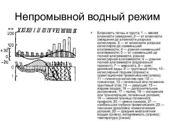 Непромывной водный режим • Влажность почвы и грунта; 1 — менее влажности завядания; 2