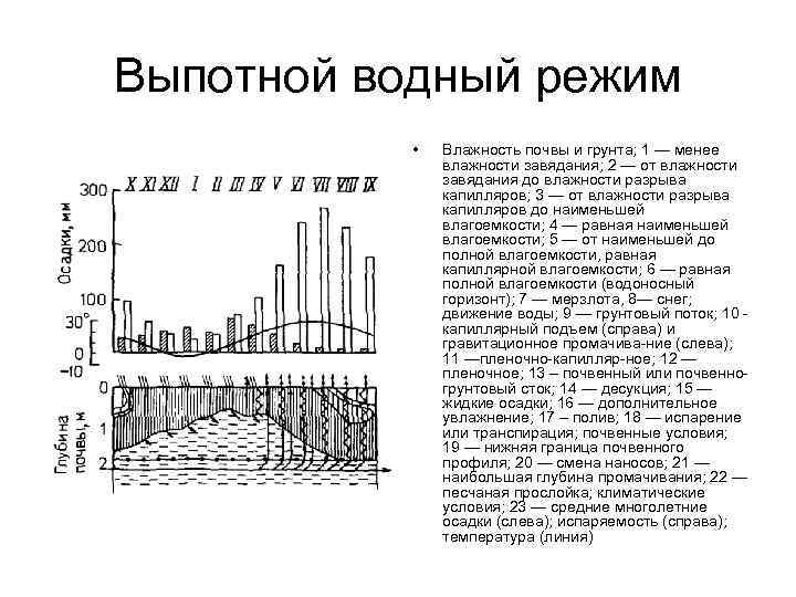 Выпотной водный режим • Влажность почвы и грунта; 1 — менее влажности завядания; 2