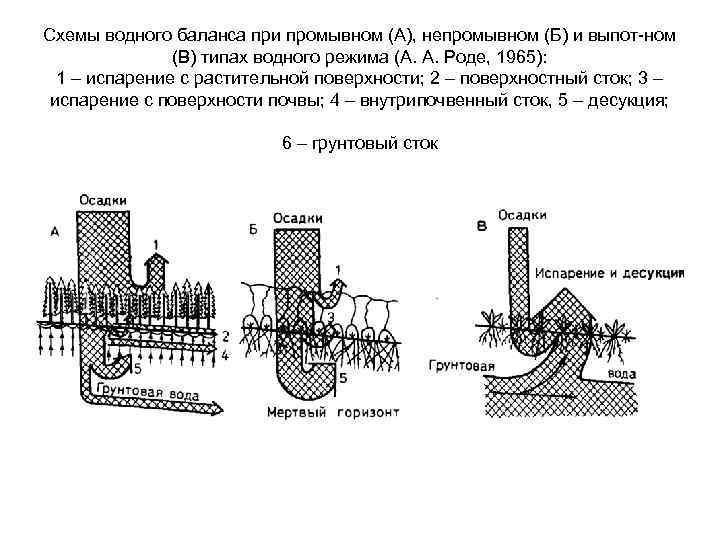 Типы водного режима. Выпотной Тип водного режима. Типы водного режима почв схема. Мерзлотный Тип водного режима почв. Непромывной Тип водного режима.
