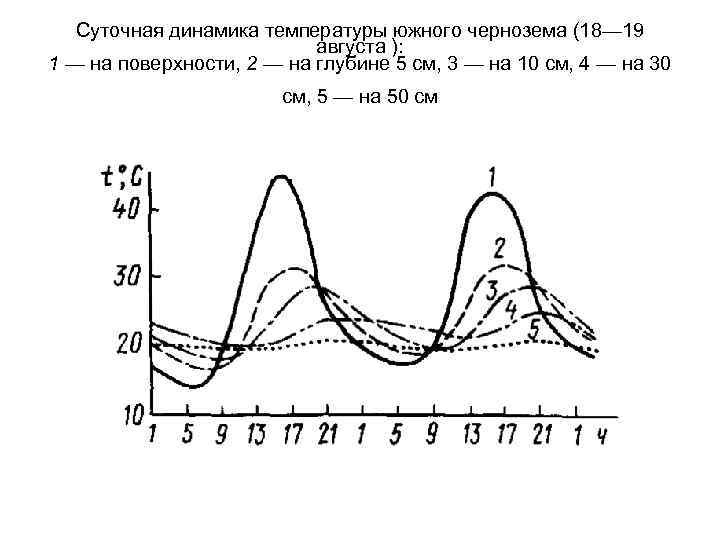 Суточная динамика температуры южного чернозема (18— 19 августа ): 1 — на поверхности, 2