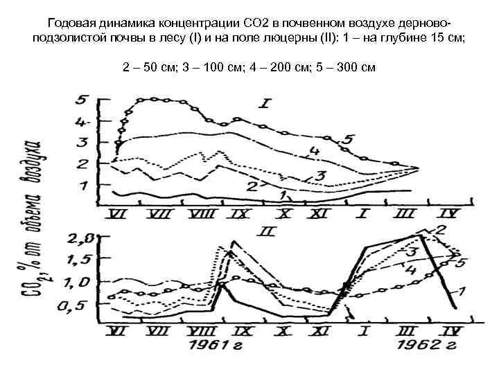 Годовая динамика концентрации СО 2 в почвенном воздухе дерновоподзолистой почвы в лесу (I) и