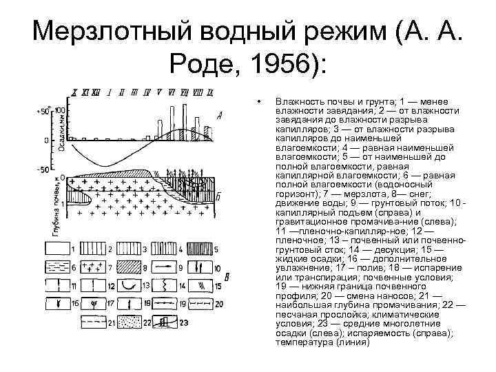 Мерзлотно таежные почвы содержание гумуса. Промывной Тип водного режима почв. Типы водного режима почв схема. Мерзлотный Тип водного режима. Мерзлотный режим почв.