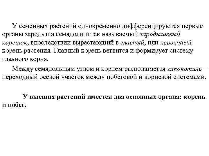 У семенных растений одновременно дифференцируются первые органы зародыша семядоли и так называемый зародышевый корешок,