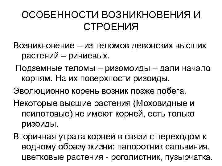 ОСОБЕННОСТИ ВОЗНИКНОВЕНИЯ И СТРОЕНИЯ Возникновение – из теломов девонских высших растений – риниевых. Подземные