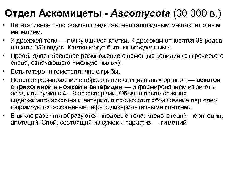 Отдел Аскомицеты - Ascomycota (30 000 в. ) • Вегетативное тело обычно представлено гаплоидным