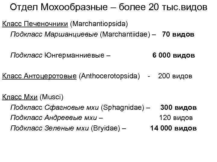 Отдел Мохообразные – более 20 тыс. видов Класс Печеночники (Marchantiopsida) Подкласс Маршанциевые (Marchantiidae) –