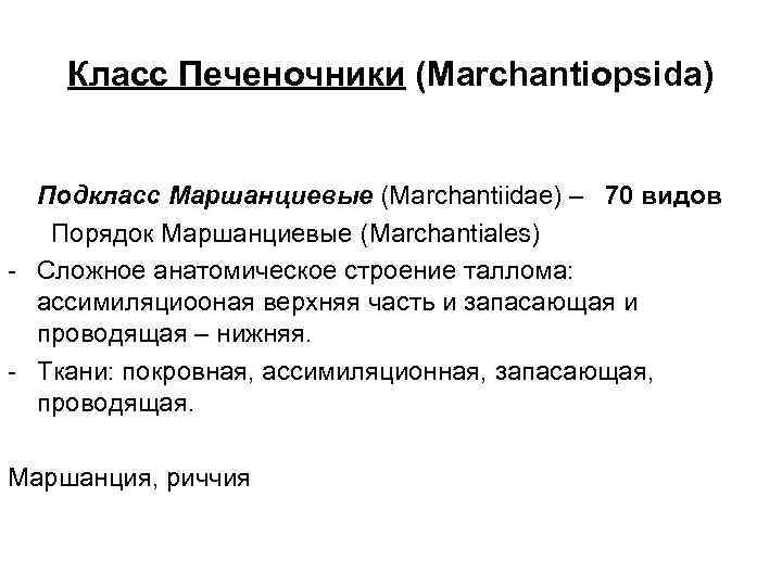 Класс Печеночники (Marchantiopsida) Подкласс Маршанциевые (Marchantiidae) – 70 видов Порядок Маршанциевые (Marchantiales) - Сложное