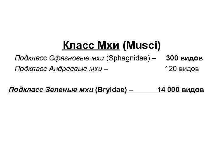 Класс Мхи (Musci) Подкласc Сфагновые мхи (Sphagnidae) – Подкласс Андреевые мхи – Подкласс Зеленые