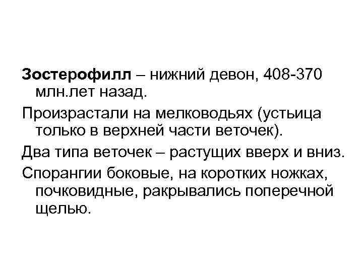 Зостерофилл – нижний девон, 408 -370 млн. лет назад. Произрастали на мелководьях (устьица только