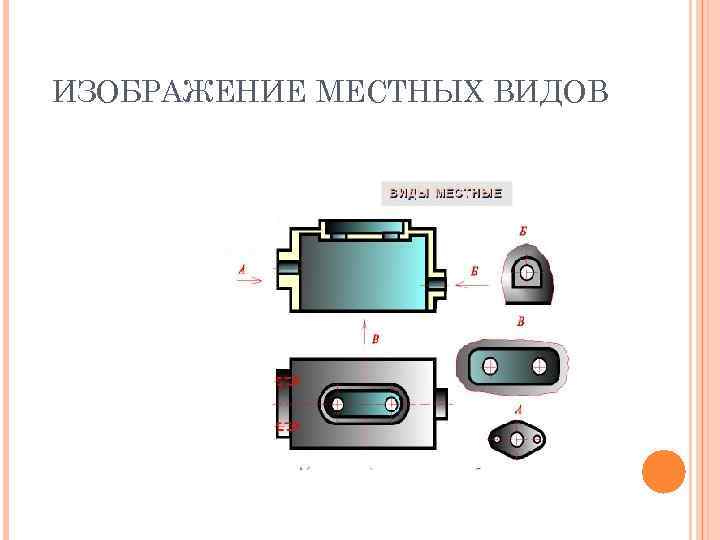 ИЗОБРАЖЕНИЕ МЕСТНЫХ ВИДОВ 