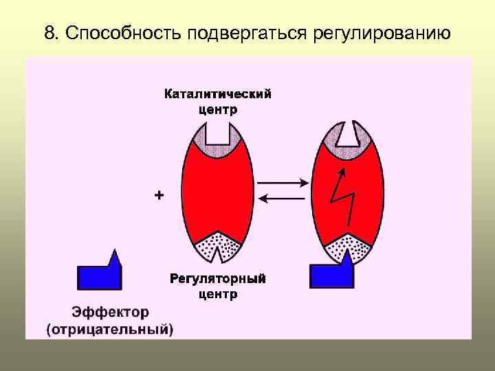 8. Способность подвергаться регулированию 