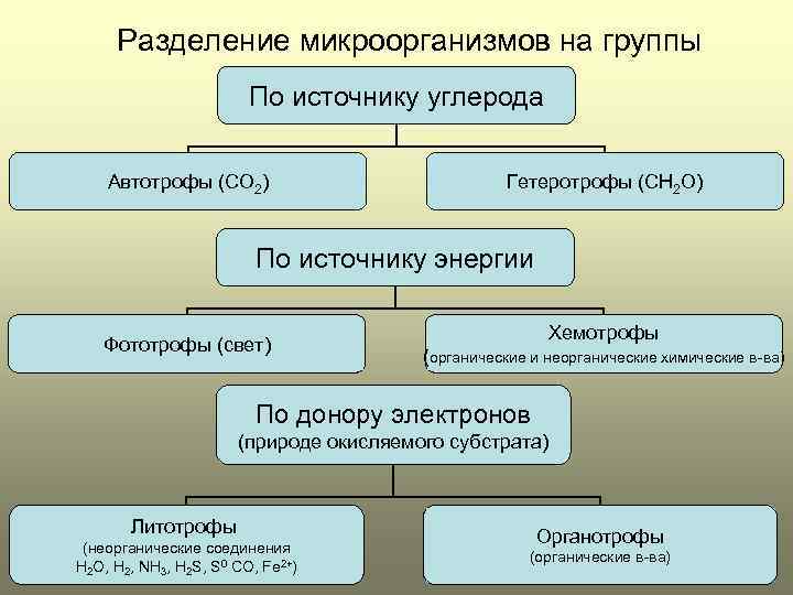 Виды обменов клетки. Микроорганизмы классификация по метаболизму. Классификация микроорганизмов по типу метаболизма. Типы метаболизма бактерий. Классификация ба ткреий по метаболизму.