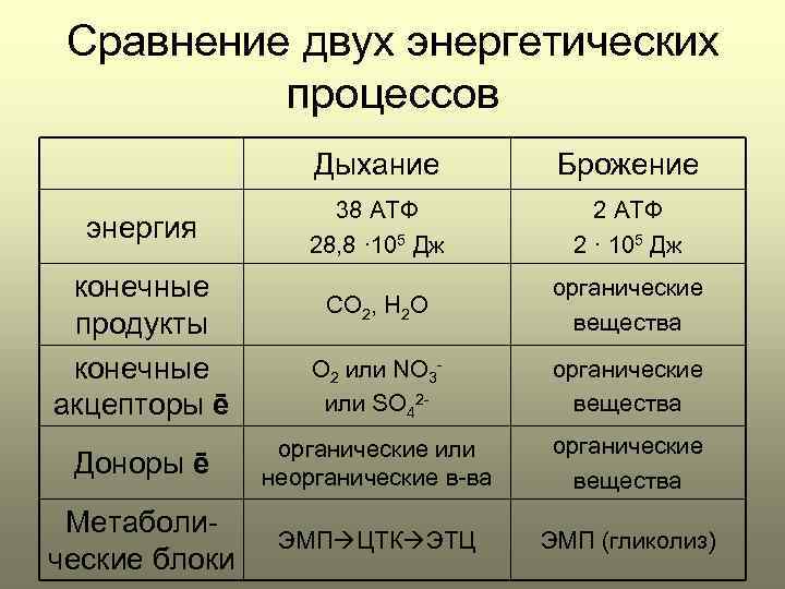 Общая схема брожения