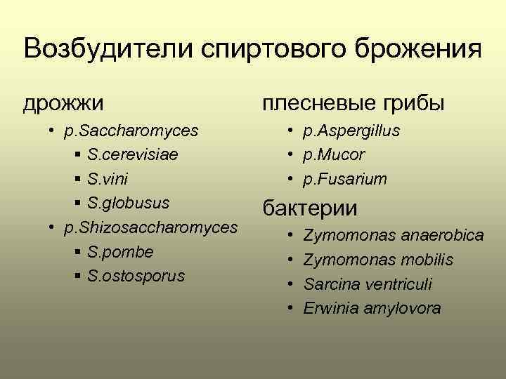 Возбудители спиртового брожения дрожжи • p. Saccharomyces § S. cerevisiae § S. vini §