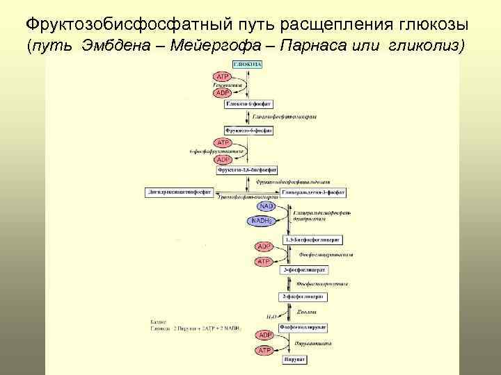 Процесс расщепления