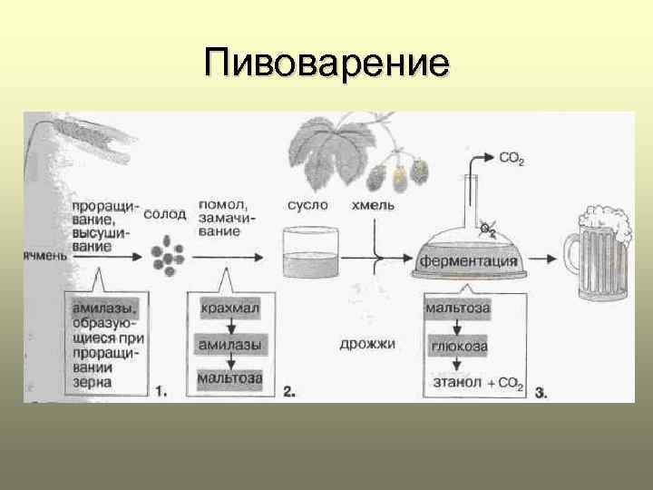 Технологическая схема спиртового брожения