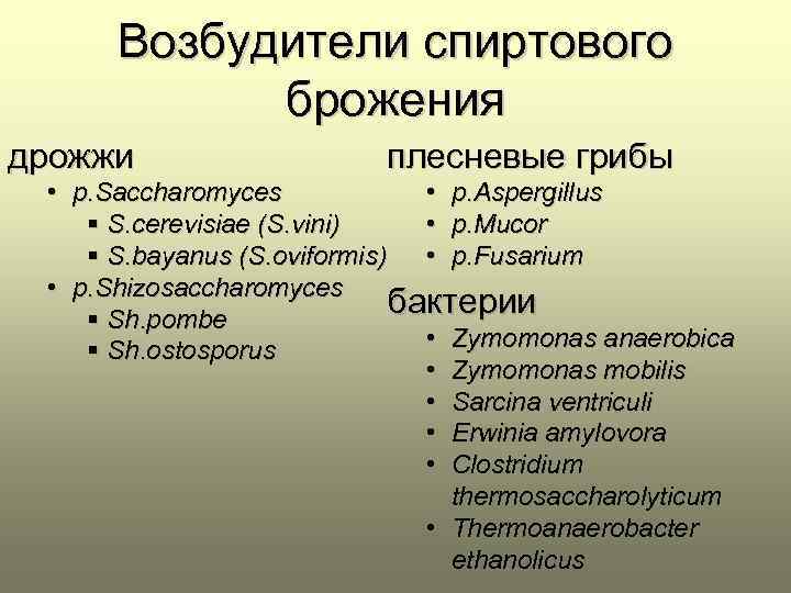 Возбудители спиртового брожения дрожжи плесневые грибы • p. Saccharomyces • p. Aspergillus § S.