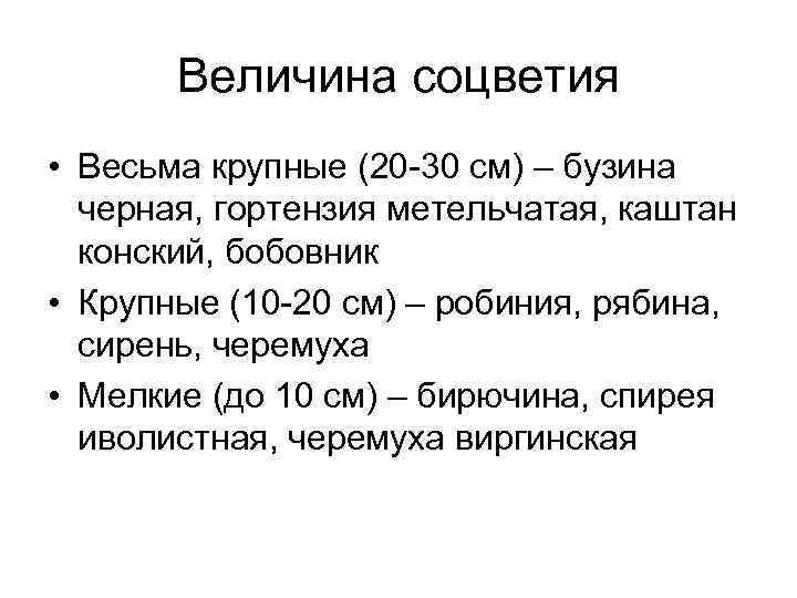 Величина соцветия • Весьма крупные (20 -30 см) – бузина черная, гортензия метельчатая, каштан