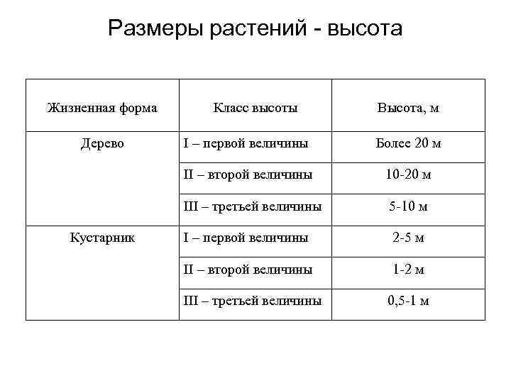 Высота класса. Размеры растений. Размеры растений таблица. Таблица высоты растений. Обозначения размеров растений.