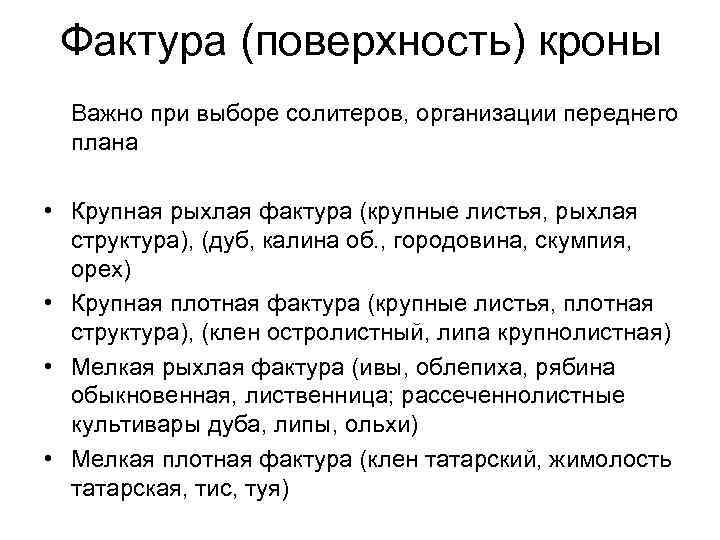 Фактура (поверхность) кроны Важно при выборе солитеров, организации переднего плана • Крупная рыхлая фактура
