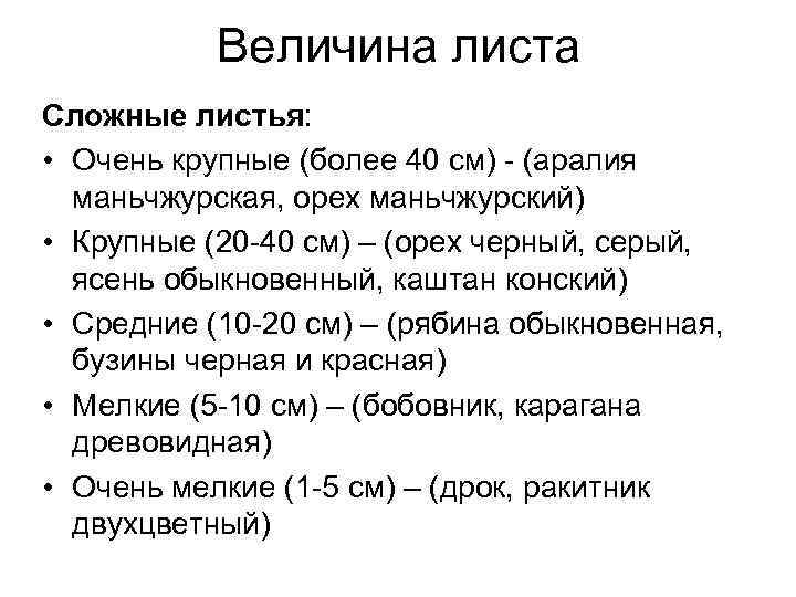 Величина листа Сложные листья: • Очень крупные (более 40 см) - (аралия маньчжурская, орех