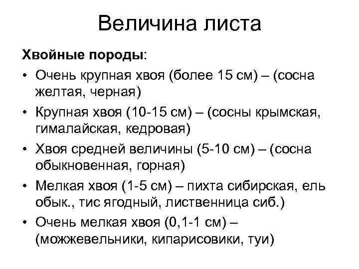 Величина листа Хвойные породы: • Очень крупная хвоя (более 15 см) – (сосна желтая,