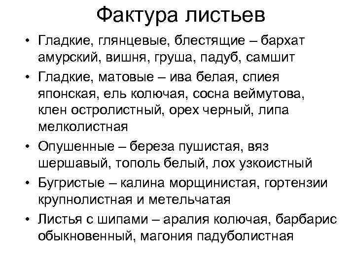 Фактура листьев • Гладкие, глянцевые, блестящие – бархат амурский, вишня, груша, падуб, самшит •