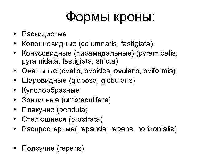 Формы кроны: • Раскидистые • Колонновидные (columnaris, fastigiata) • Конусовидные (пирамидальные) (pyramidalis, pyramidata, fastigiata,