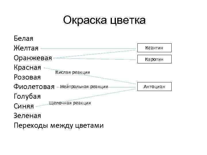 Окраска цветка Белая Желтая Оранжевая Красная Кислая реакция Розовая Фиолетовая Нейтральная реакция Голубая Щелочная