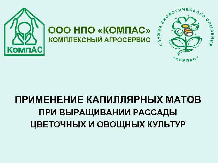 ООО НПО «КОМПАС» КОМПЛЕКСНЫЙ АГРОСЕРВИС ПРИМЕНЕНИЕ КАПИЛЛЯРНЫХ МАТОВ ПРИ ВЫРАЩИВАНИИ РАССАДЫ ЦВЕТОЧНЫХ И ОВОЩНЫХ