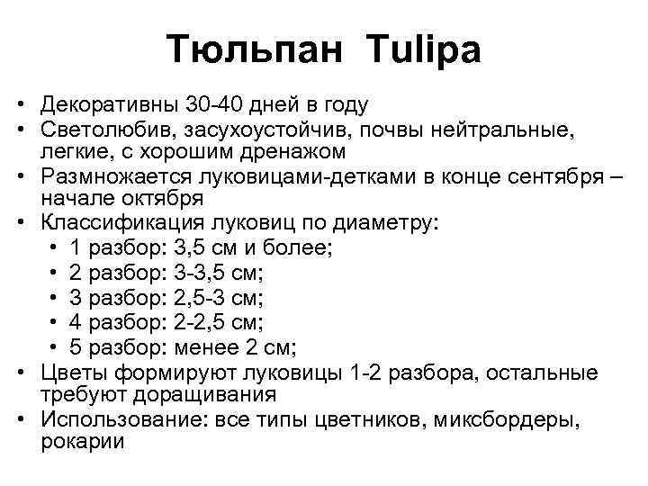 Тюльпан Tulipa • Декоративны 30 -40 дней в году • Светолюбив, засухоустойчив, почвы нейтральные,