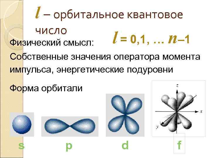 l – орбитальное квантовое число l = 0, 1, … n– 1 Физический смысл: