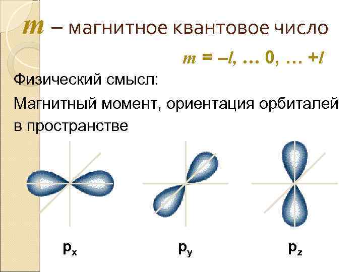 m – магнитное квантовое число m = –l, … 0, … +l Физический смысл: