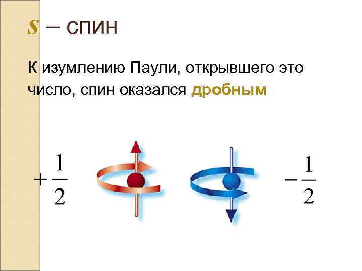 s – спин К изумлению Паули, открывшего это число, спин оказался дробным 