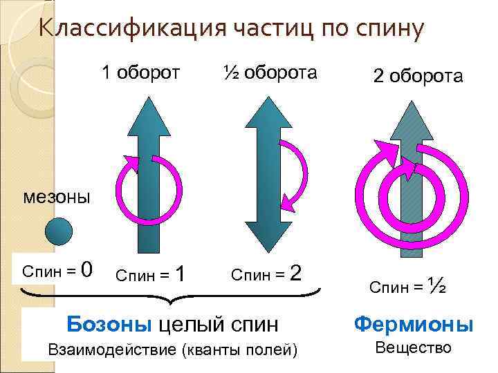 Спин частицы